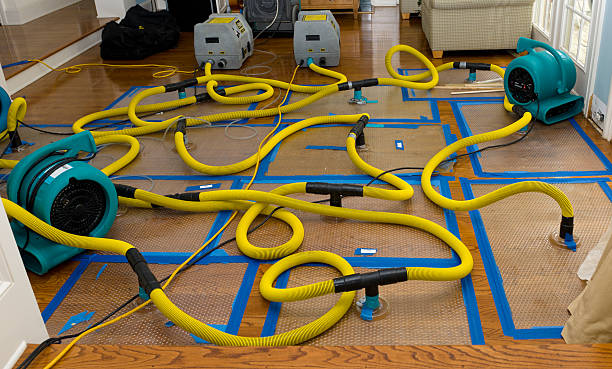 Professional Flood Damage Restoration technician working in Olathe, KS